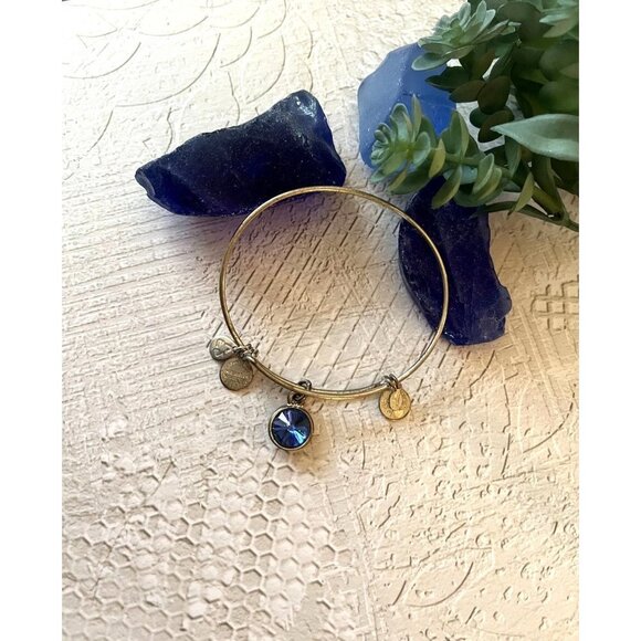 Alex and Ani Saphire Birthstone Bracelet Silver Tone - Picture 2 of 9